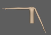 Emily Arm Test (Without Outfit)