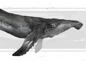 Whale - Early Concept