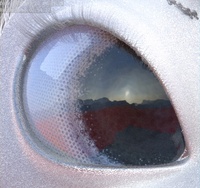 Tara's graded eyes