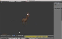 Using the Rig: Walkthrough