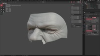 Brow Deformation Test