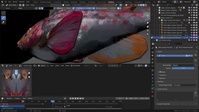 Ballan Wrasse - Shading Interaction