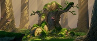 07__sf_tree_jay07.png