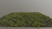 Grass growing test 02