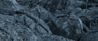 06_040_A - Render test #01 (Start)