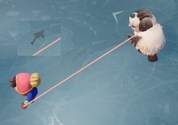 Carping Around