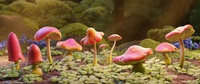 02__fungi_04.png