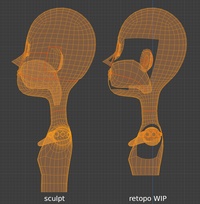 Victoria upper body, wip - retopo