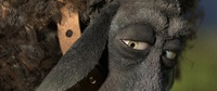 Lighting Franck's eyes, before