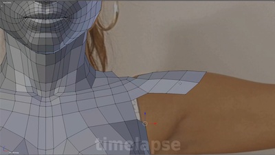 02 - Torso