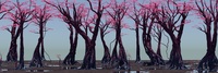 Forest test 1