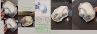 Boulder notes