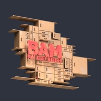 BAM logo