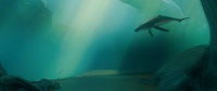 250_whale-lighting-v002