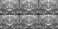 Alpha WIP 03 - Face variations
