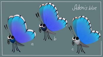 Adonisblue Butterfly design