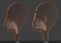 Victoria inner mouth, xray - retopo