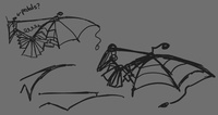 wing sketches
