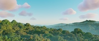 Forest Opening - Transition Render