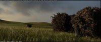 Low-res render: the flock appears