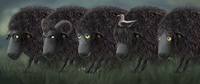 Testing the flock
