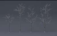 Tree Model and Material update 01