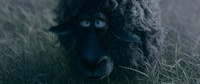 Franck filtered: color grading 3