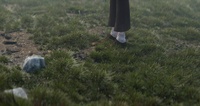 Grass carpet