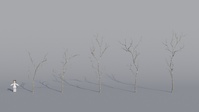 Tree Model Arrangements Tests 01