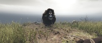 Franck on the cliff