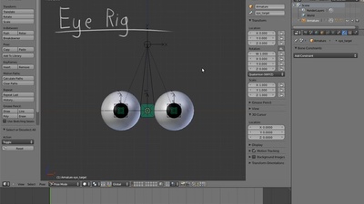 05 Eye Rig
