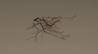 Falling branch caches - overview
