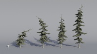 Tree Model Arrangements Tests 02