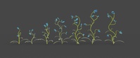Harebells update