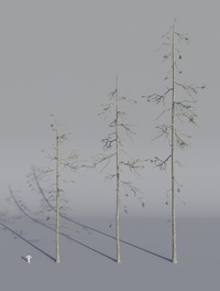 Tree Model Arrangements Tests 03