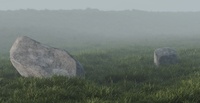 Rocks in the grass
