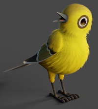 Bird Shading - Front