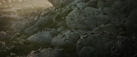 Riverbed - test render