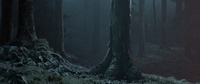 05_015_A - Render Test 01