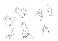 bird1.jpg