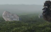 Rocks in the grass...with Franck