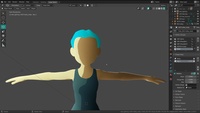 Face Profile Adjustments
