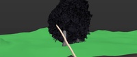 Franck pulls the log sim