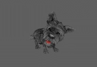 Autumn fur simulation tests