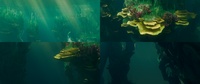 Underwater set - Asset scattering, shading and set dressing 1