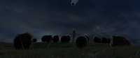 Lighting test: Victor with the flock