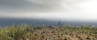 Cliffside environmental details