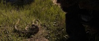 A rope in the grass, lighting test