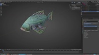 Carp modeling