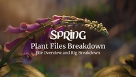 Plant Files Breakdown